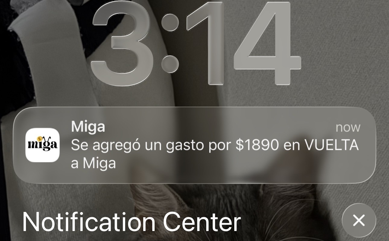 Análisis visual de tus hábitos financieros